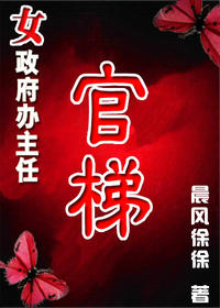 女政府办主任：官梯①②