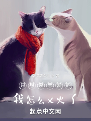非正常文娱