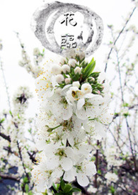 《花临》